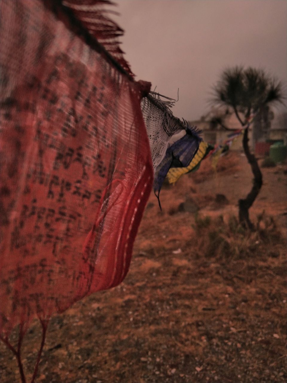 Photo of HOTs - For that kasar devi cold. #offbeatuttarakhand by budwhyy