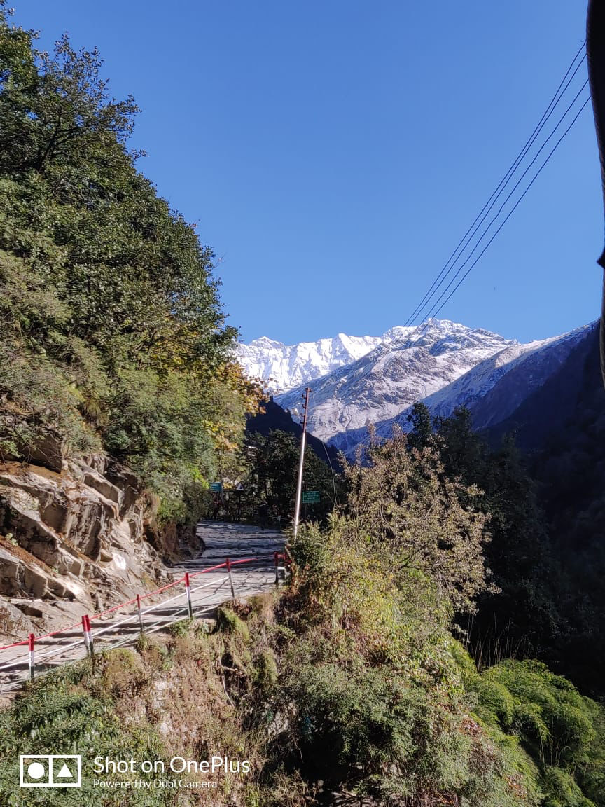 Photo of Chopta Tungnath Chandrashila Trekking, Uttarakhand, India by Indresh Belwal