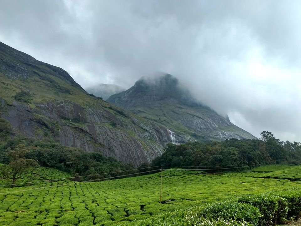 Photo of Ticket to Munnar feat. Neelakurinji by Hithesh Bhat