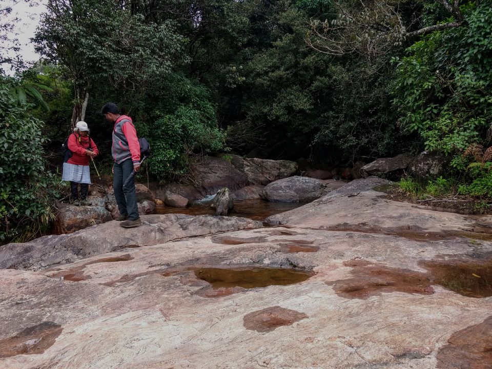 Photo of Ticket to Munnar feat. Neelakurinji by Hithesh Bhat
