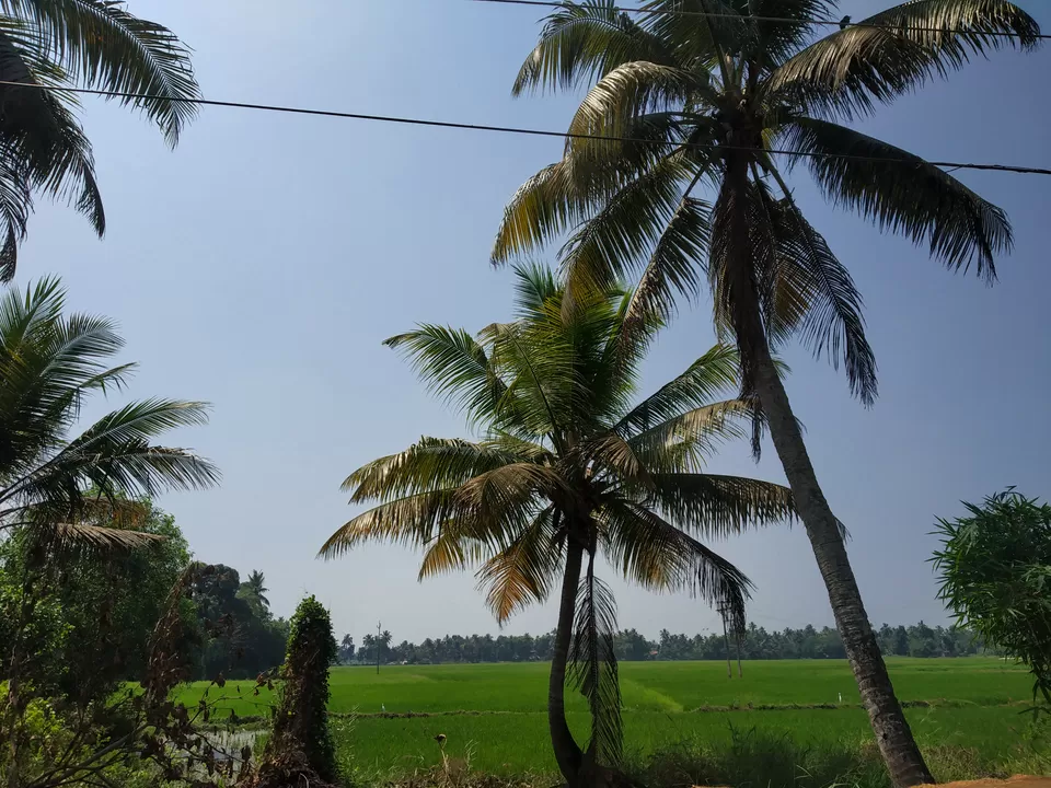 Photo of Ticket to Alleppey by Hithesh Bhat