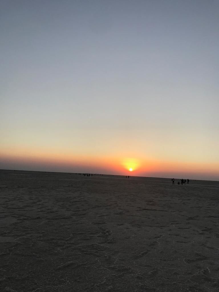 Photo of Dream come true, a visit to the White Rann 7/9 by SinghA
