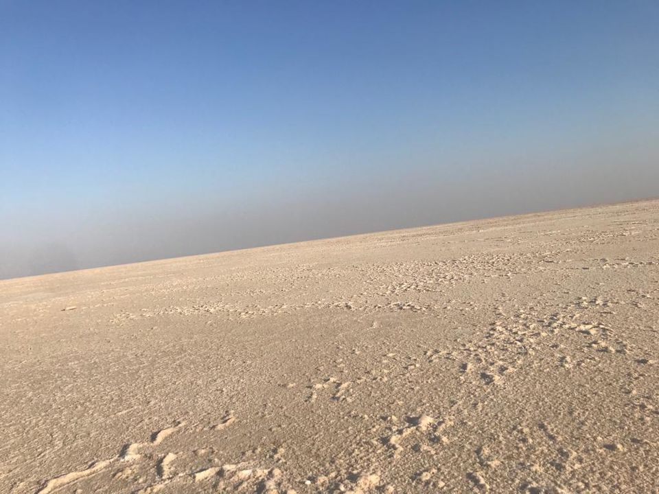 Photo of Dream come true, a visit to the White Rann 2/9 by SinghA