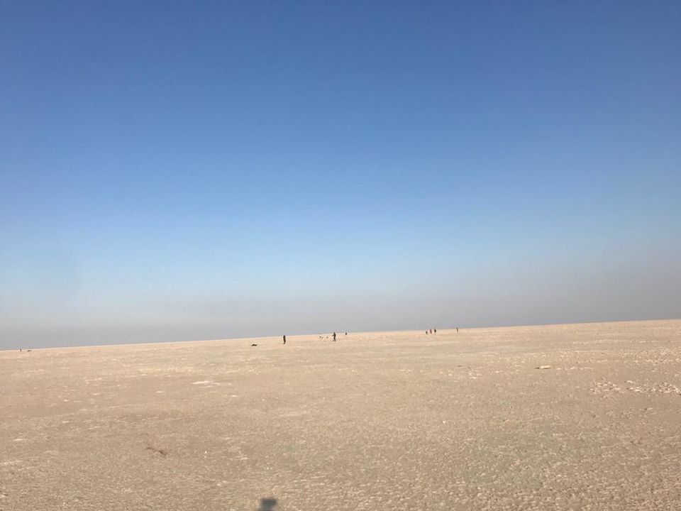 Photo of Dream come true, a visit to the White Rann 1/9 by SinghA