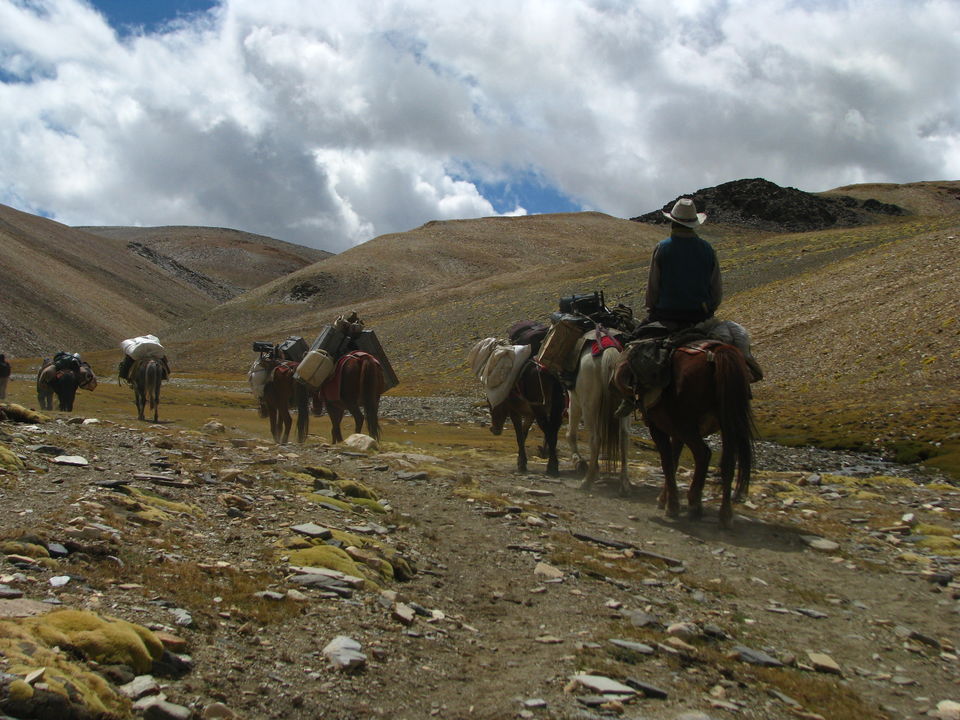 Photo of Ladakh Vacation, Leh by Anila Kopparapu