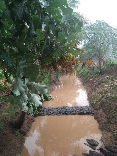Photo of Giving back to the earth : The story of how some Tamilnadu women revived a dying river! 3/3 by Anila Kopparapu