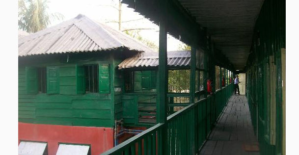 Photo of 9 Eco-resorts in Sunderbans for the perfect weekend getaway from Kolkata by Anila Kopparapu