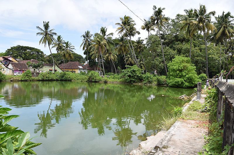 Photo of Exploring Kerala’s Forgotten History in Mattancherry, an Ancient Palace Town Right Within Kochi by Anila Kopparapu