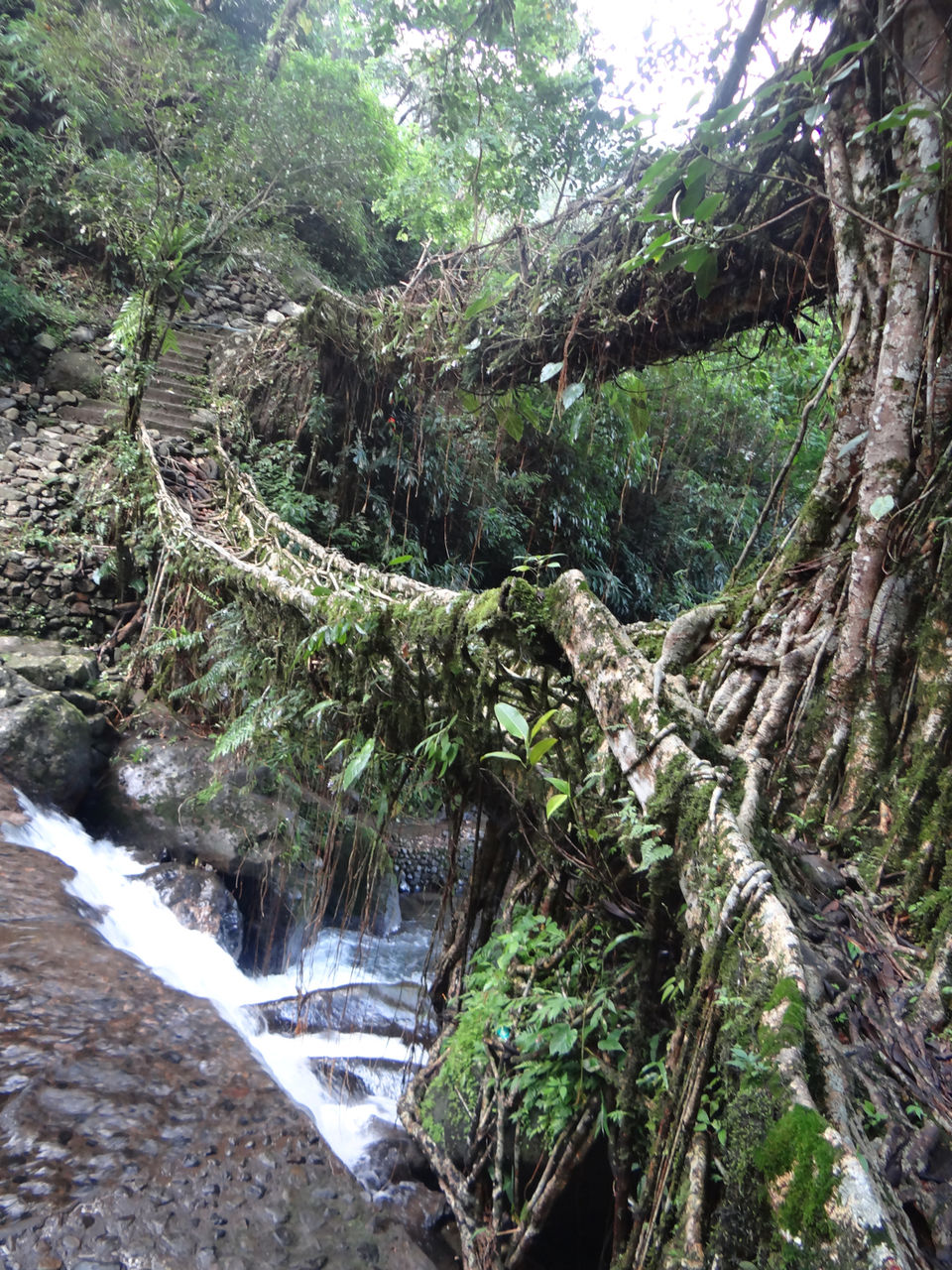 Photo of Chherapunji,Sohra Meghalaya by Sachin Kumar
