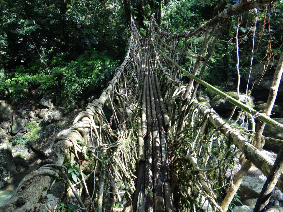 Photo of Chherapunji,Sohra Meghalaya by Sachin Kumar