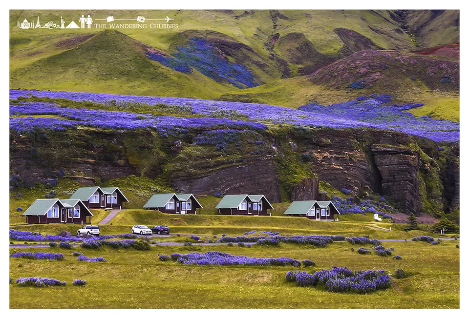 Photo of Vik, Iceland by The Wandering Chubbies