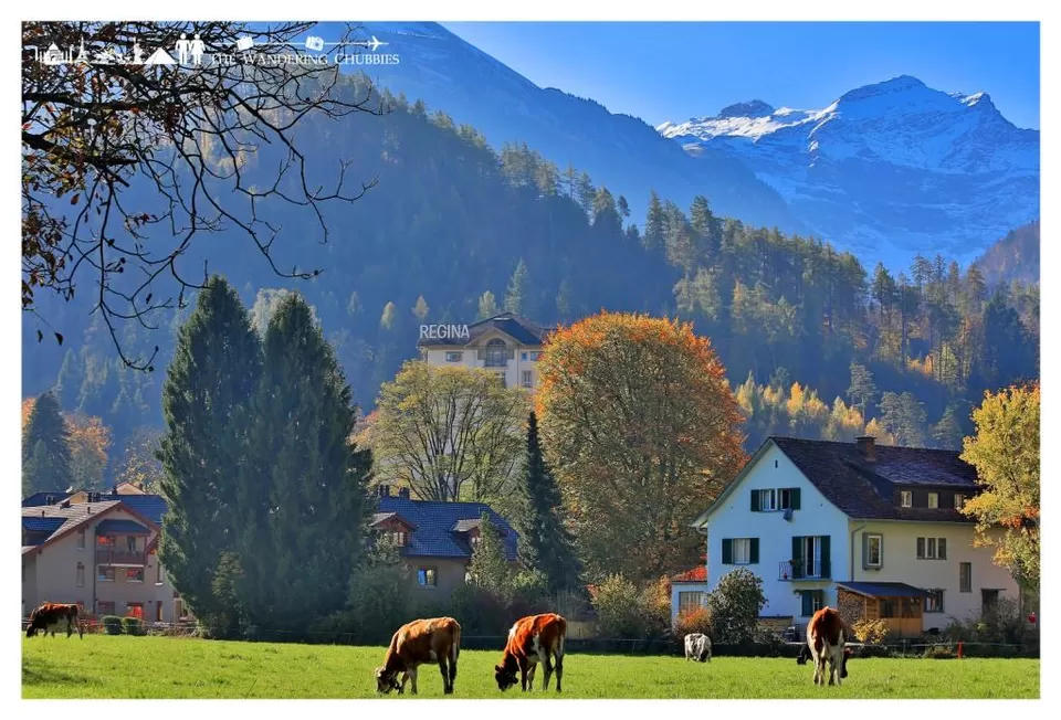 Photo of Interlaken, Switzerland by The Wandering Chubbies
