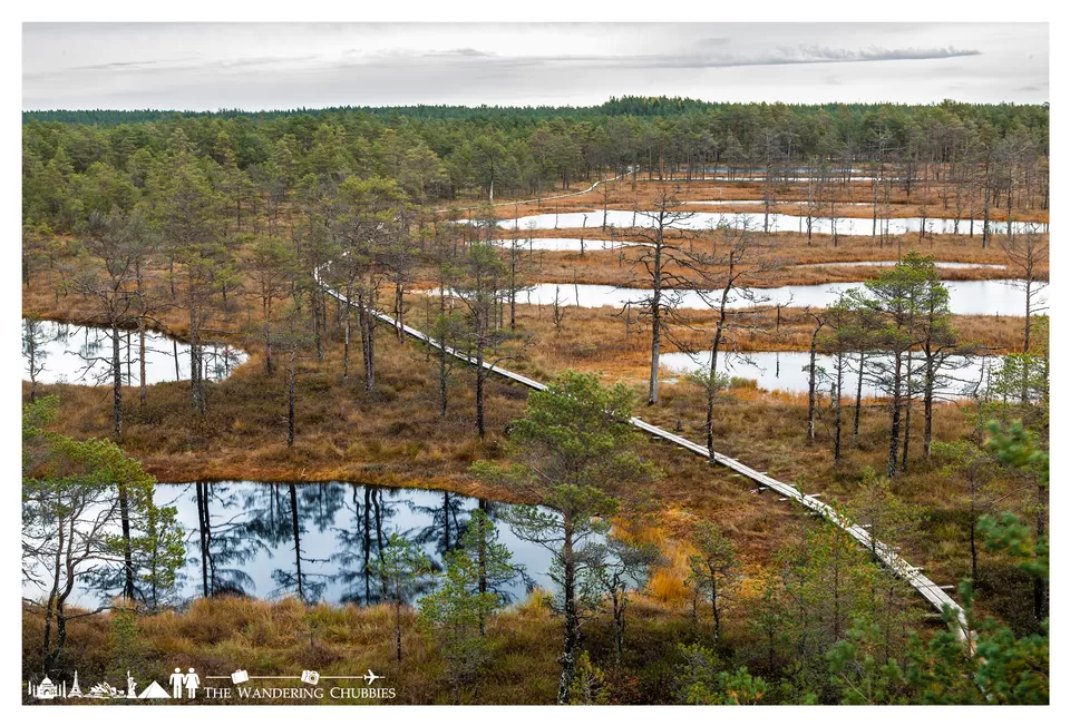 Photo of Lahemaa National Park, Estland by The Wandering Chubbies