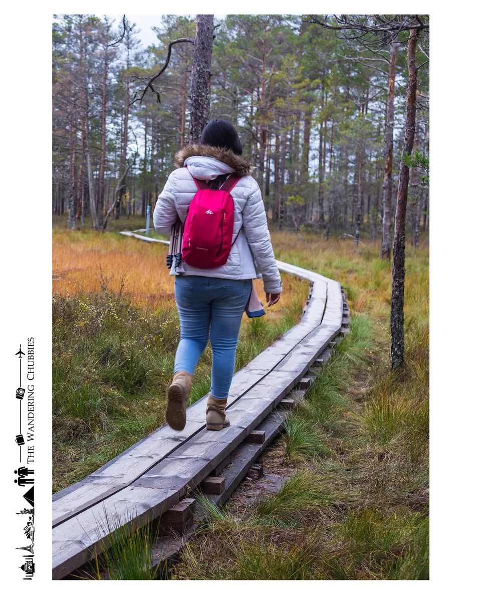 Photo of Lahemaa National Park, Estland by The Wandering Chubbies