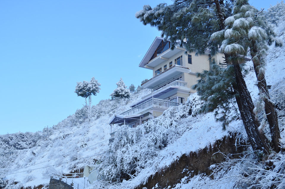 Photo of Palampur, Himachal Pradesh, India by Palak Doshi