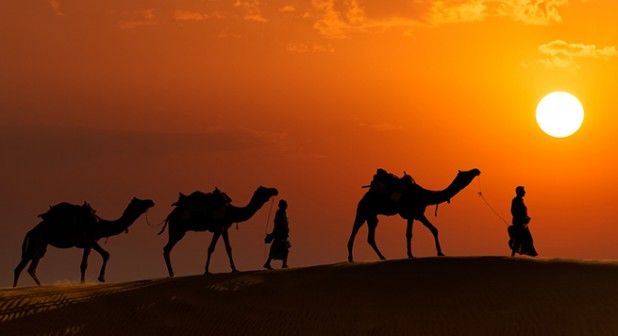 Photo of How To Travel While Still In College? The Easiest Guide Ever. 11/11 by Palak Doshi