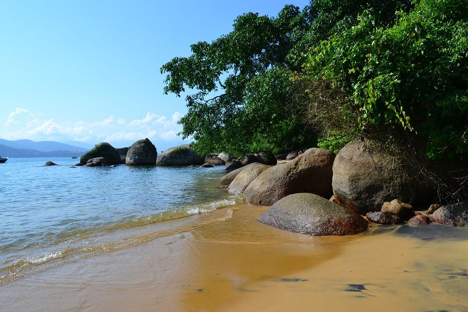 Photo of You Can Buy An Entire Island In Japan For Less Than A Flat In Mumbai From This Website! 5/18 by Palak Doshi