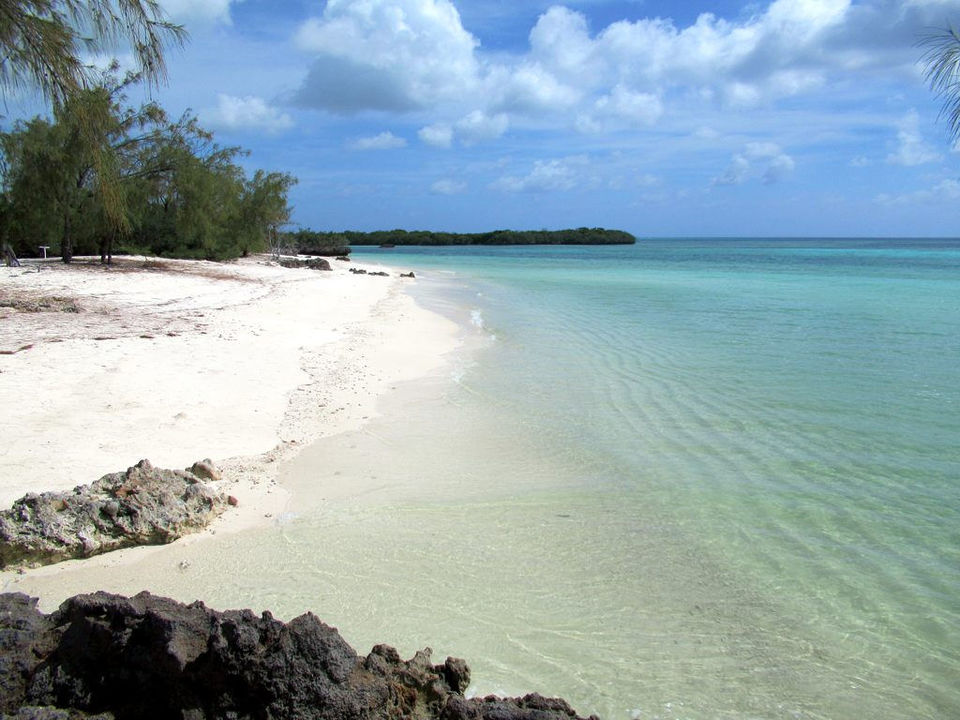 Photo of You Can Buy An Entire Island In Japan For Less Than A Flat In Mumbai From This Website! 6/18 by Palak Doshi