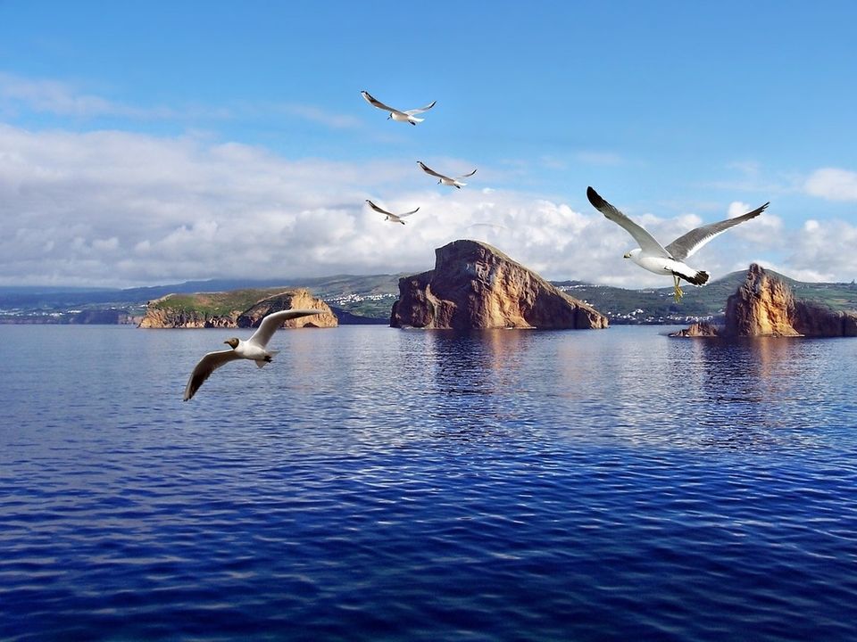 Photo of You Can Buy An Entire Island In Japan For Less Than A Flat In Mumbai From This Website! 8/18 by Palak Doshi