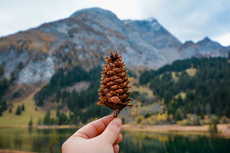 Photo of Travel Prediction: The Indian Destination You Should Travel To As Per Your Zodiac Sign In 2021 9/35 by Palak Doshi