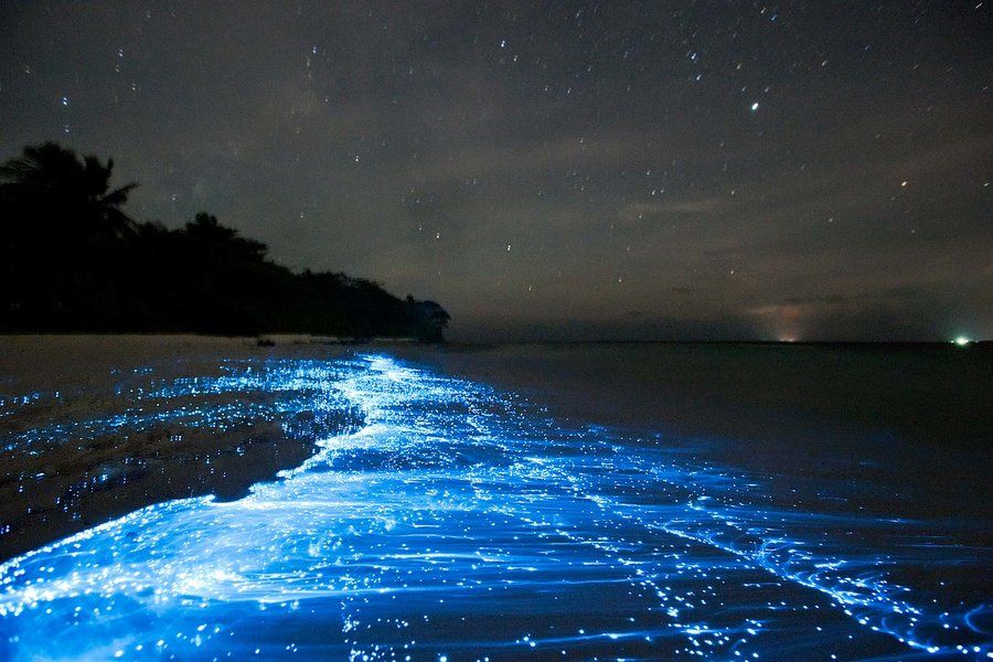 Photo of Travel Prediction: The Indian Destination You Should Travel To As Per Your Zodiac Sign In 2021 26/35 by Palak Doshi