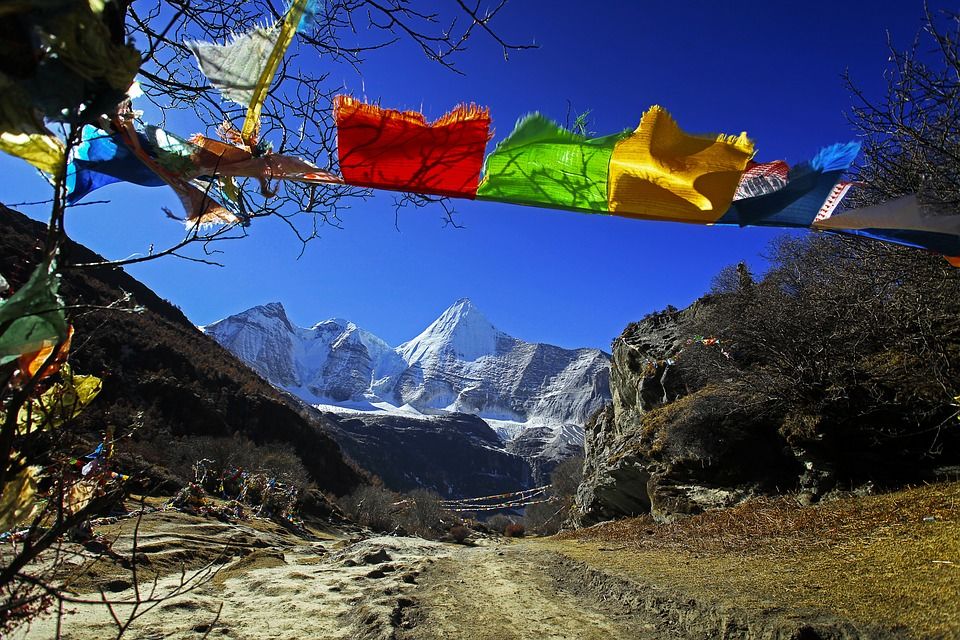 Photo of Travel Prediction: The Indian Destination You Should Travel To As Per Your Zodiac Sign In 2021 31/35 by Palak Doshi