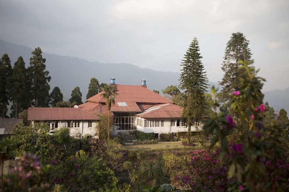 Photo of Stunning Himalayan Tea Estates Where You Can Spend An Entire Weekend. 36/51 by Palak Doshi