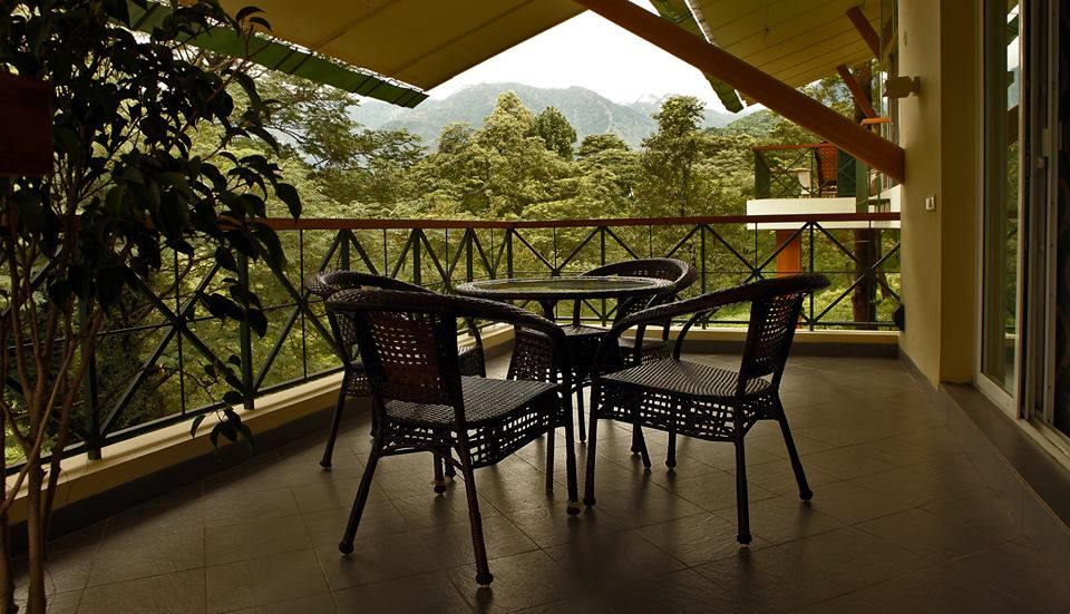 Photo of Stunning Himalayan Tea Estates Where You Can Spend An Entire Weekend. 26/51 by Palak Doshi