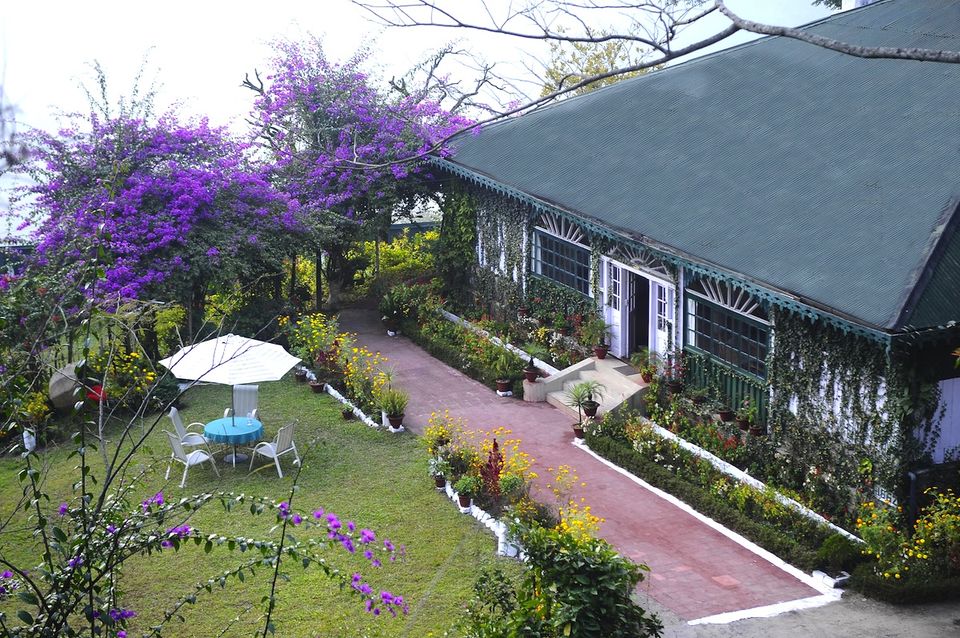 Photo of Stunning Himalayan Tea Estates Where You Can Spend An Entire Weekend. 12/51 by Palak Doshi