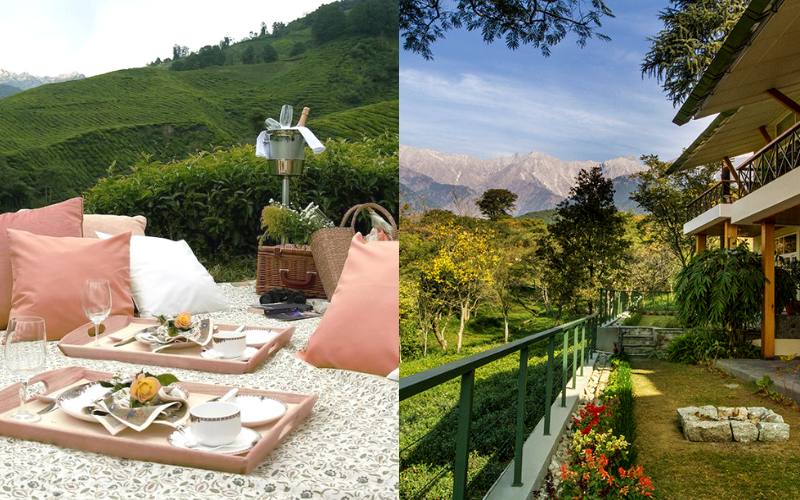 Photo of Stunning Himalayan Tea Estates Where You Can Spend An Entire Weekend. by Palak Doshi