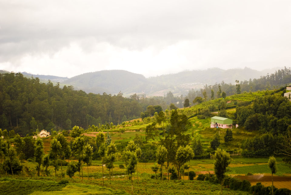 Photo of Just An Hour Away From Bangalore, People Call This Town "Little England". 1/12 by Palak Doshi