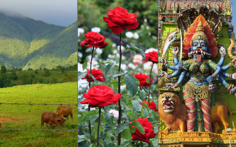 Photo of Just An Hour Away From Bangalore, People Call This Town "Little England". by Palak Doshi