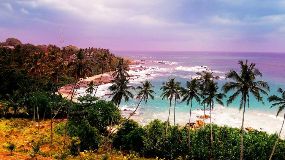 Photo of 8 Days in 18k! How I Explored the Best of Sri Lanka on a Budget! 2/3 by Palak Doshi