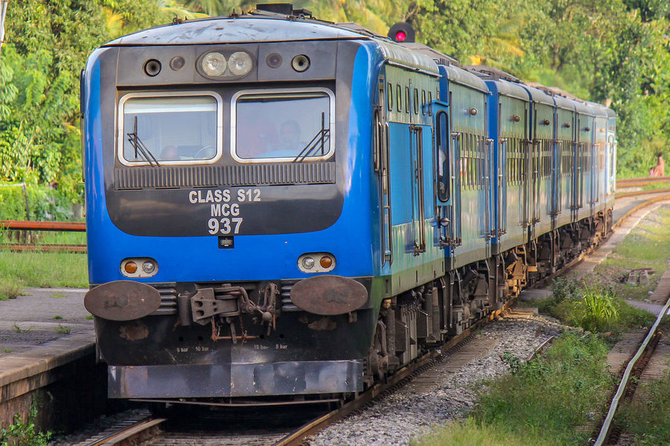 Photo of 8 Days in 18k! How I Explored the Best of Sri Lanka on a Budget! 3/3 by Palak Doshi