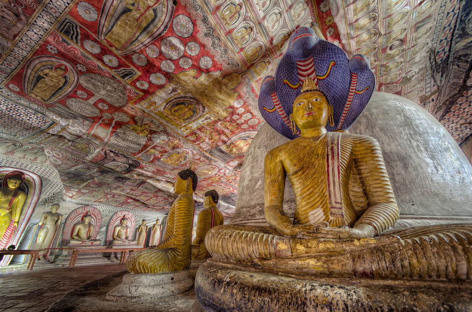 Photo of 8 Days in 18k! How I Explored the Best of Sri Lanka on a Budget! by Palak Doshi