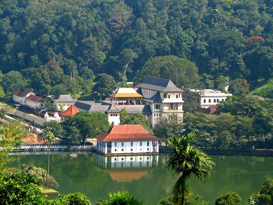 Photo of 8 Days in 18k! How I Explored the Best of Sri Lanka on a Budget! by Palak Doshi