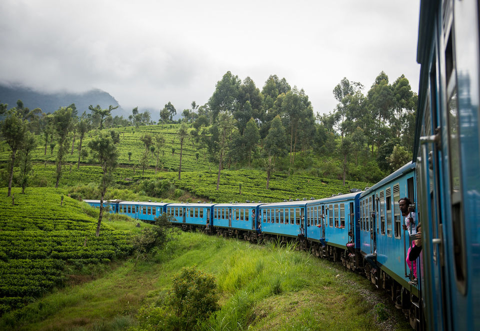 Photo of Ella, Sri Lanka by Palak Doshi