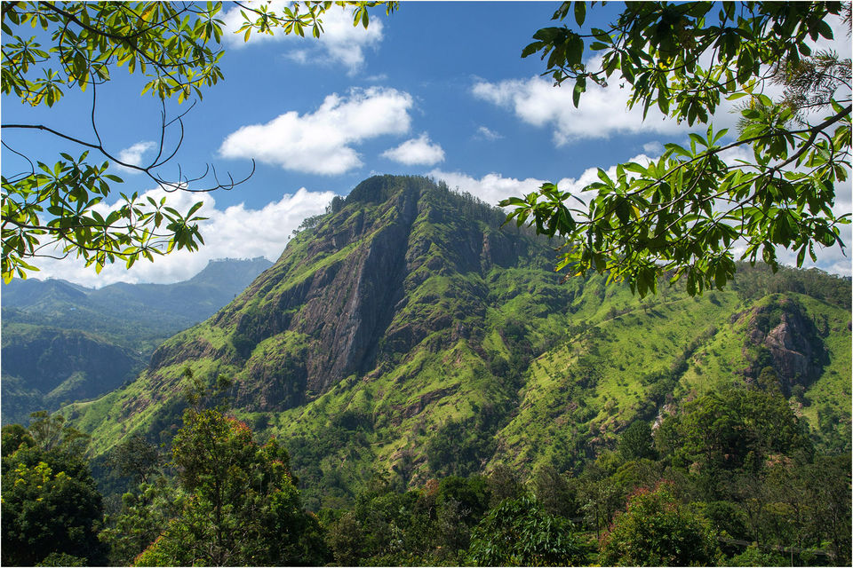 Photo of 8 Days in 18k! How I Explored the Best of Sri Lanka on a Budget! by Palak Doshi