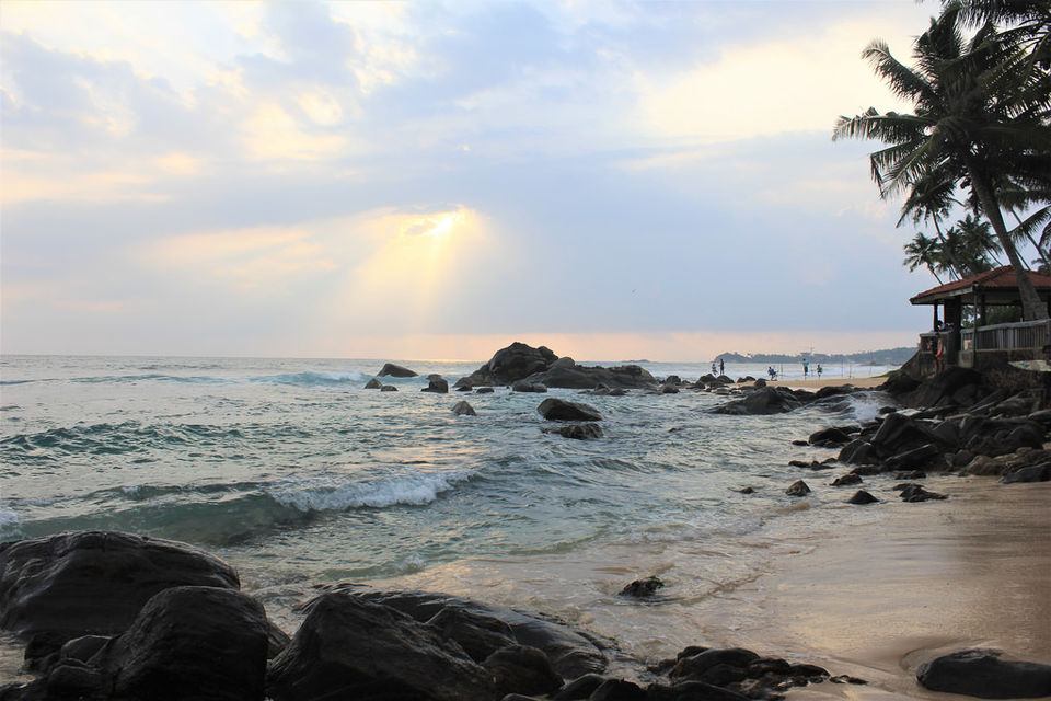 Photo of 8 Days in 18k! How I Explored the Best of Sri Lanka on a Budget! by Palak Doshi