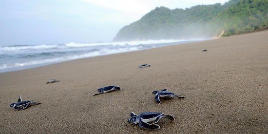 Photo of 8 Days in 18k! How I Explored the Best of Sri Lanka on a Budget! by Palak Doshi