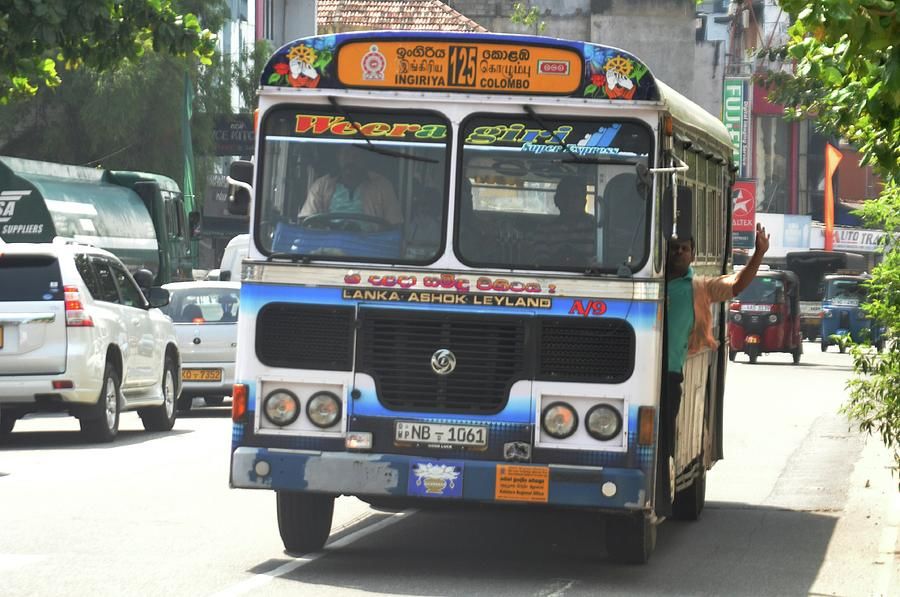 Photo of 8 Days in 18k! How I Explored the Best of Sri Lanka on a Budget! by Palak Doshi