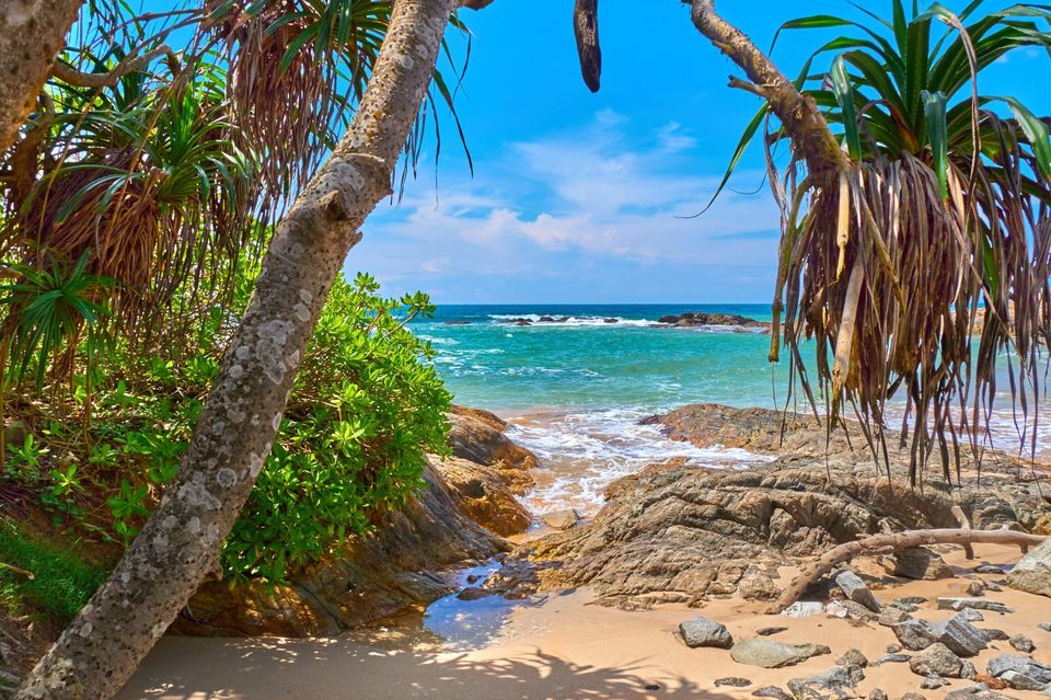 Photo of 8 Days in 18k! How I Explored the Best of Sri Lanka on a Budget! 1/3 by Palak Doshi