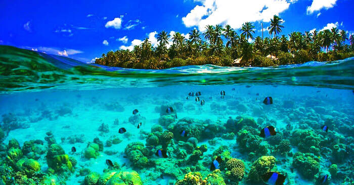 Photo of Seychelles by Palak Doshi