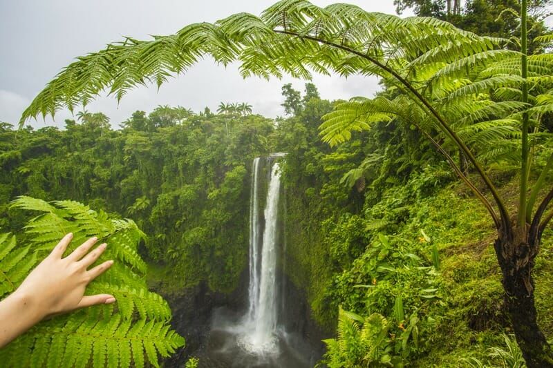 Photo of Samoa by Palak Doshi