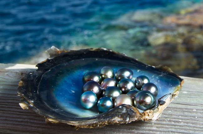Photo of 7 Insta-Perfect Islands That Indians Can Visit Without a Visa by Palak Doshi