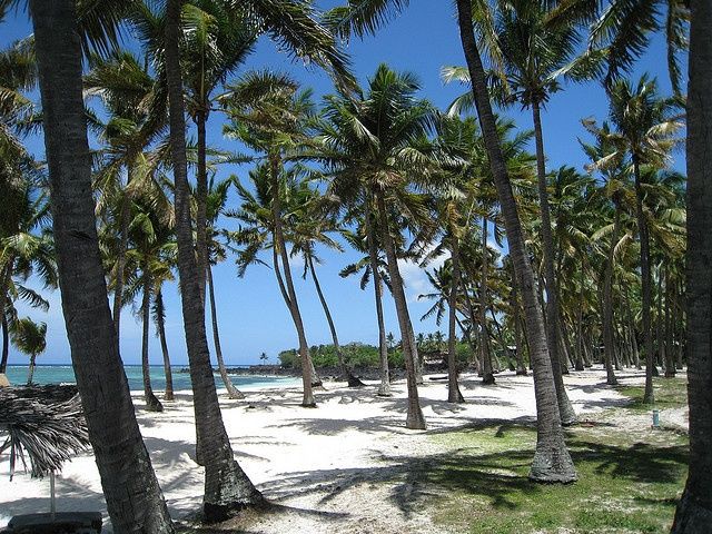 Photo of 7 Insta-Perfect Islands That Indians Can Visit Without a Visa by Palak Doshi