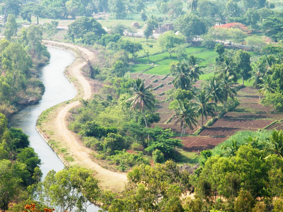 Photo of 7 South-Indian Towns For An Authentic Basket Boat Ride With A View. by Palak Doshi