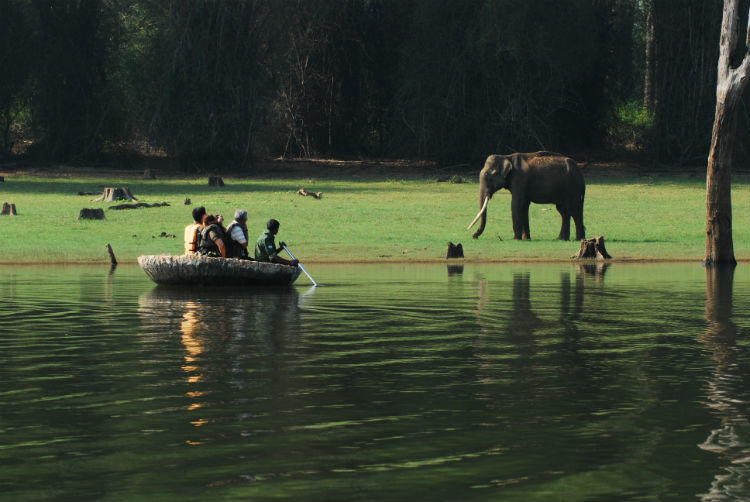 Photo of Nagarhole National Park, Mysore - Madikeri Rd, Hunsur, Karnataka, India by Palak Doshi