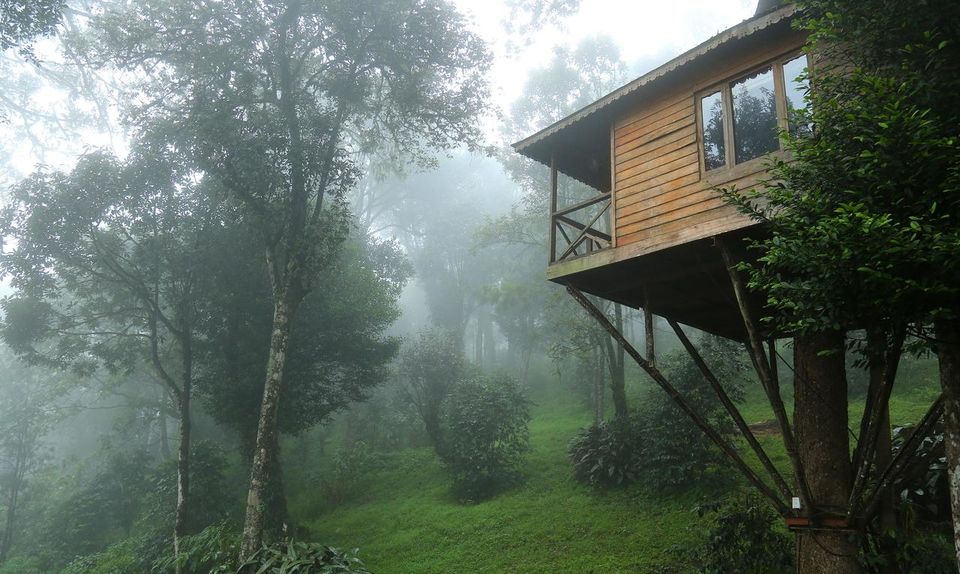 Photo of Munnar, Kerala, India by Palak Doshi