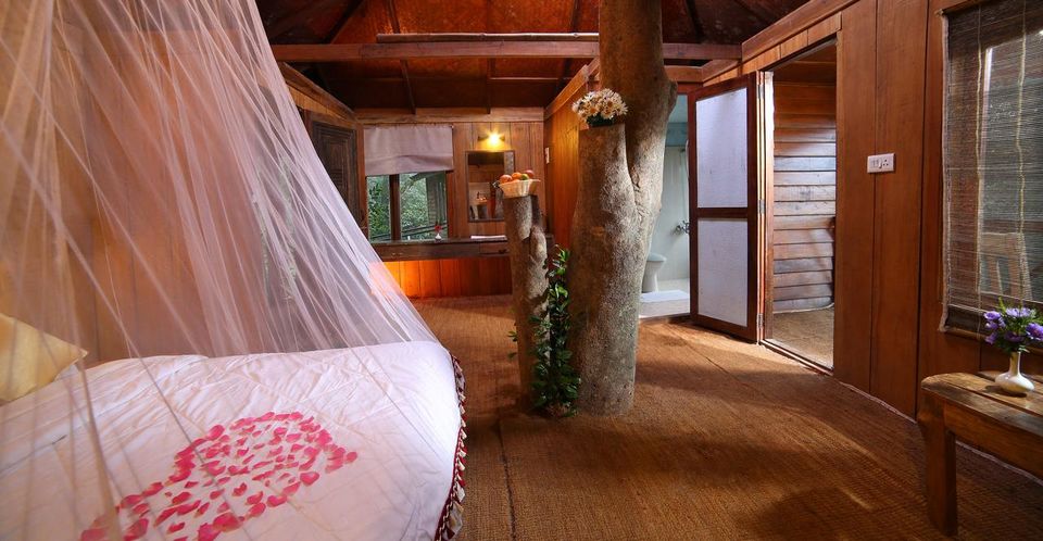 Photo of Can't Afford Bali? Stay At These Tree-Houses In Kerala For The Same Vibes! by Palak Doshi